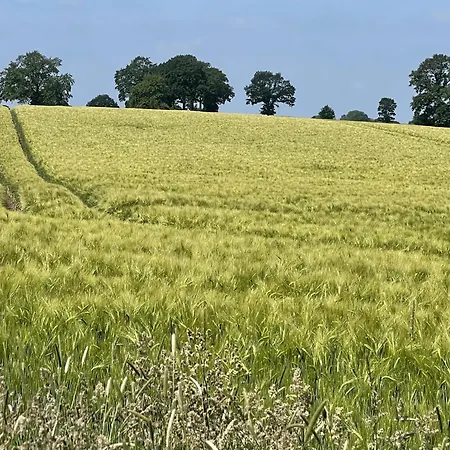 Lakeside Comfort With Balcony