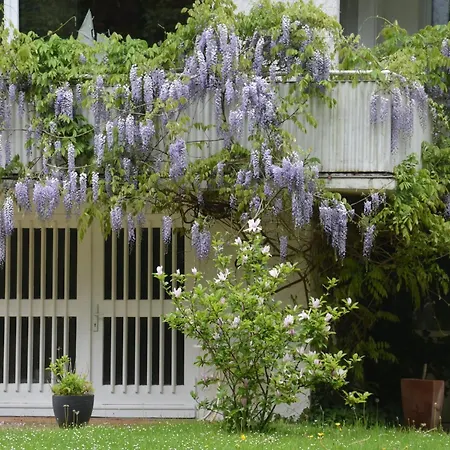 Lakeside Comfort With Balcony *