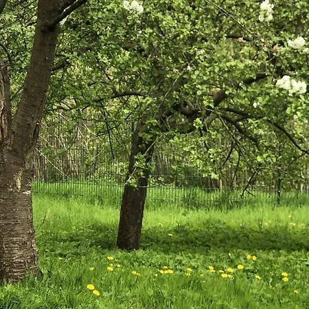 Lakeside Comfort With Balcony 아파트 유틴