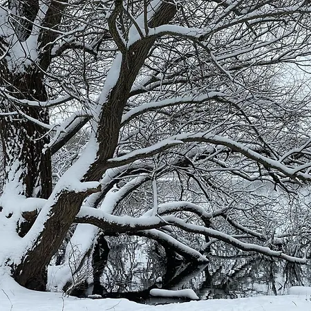 Lakeside Comfort With Balcony Appartement *