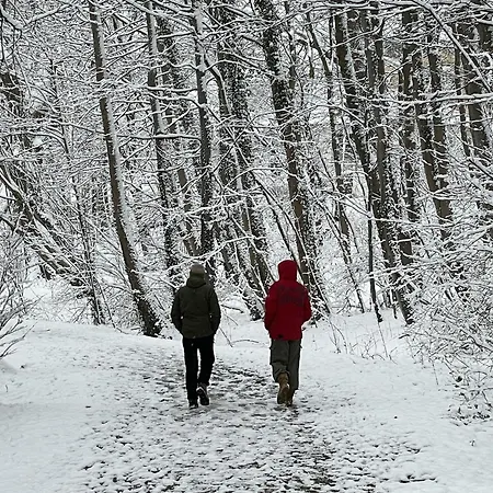 Lakeside Comfort With Balcony * Eutin