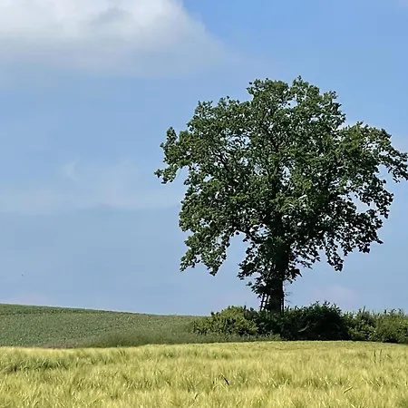Lakeside Comfort With Balcony Eutin