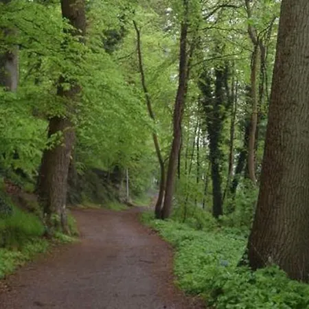 Lakeside Comfort With Balcony Appartement