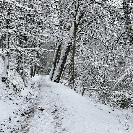 Appartement Lakeside Comfort With Balcony