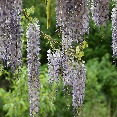 Lakeside Comfort With Balcony 아파트 유틴