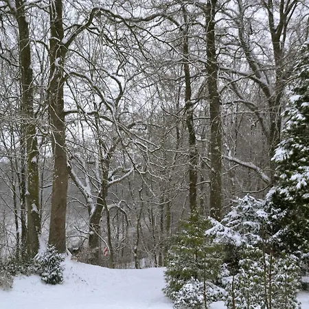 Appartement Lakeside Comfort With Balcony