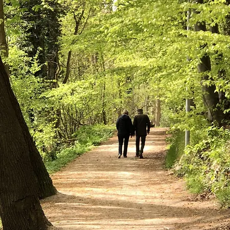 Lakeside Comfort With Balcony Appartement *