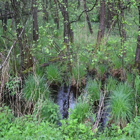 Lakeside Comfort With Balcony 아파트 *