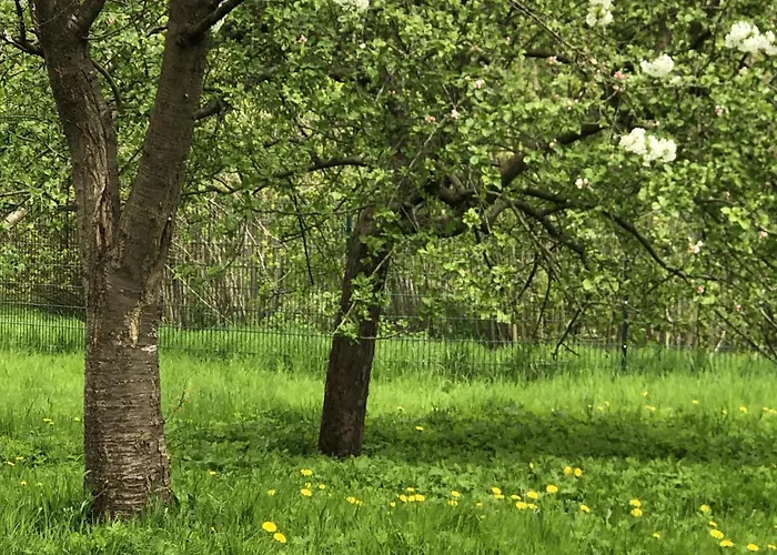 Lakeside Comfort With Balcony 아파트 유틴