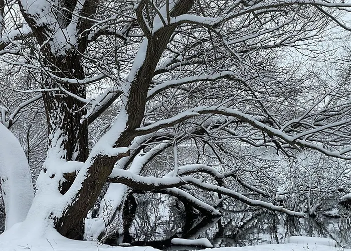 Lakeside Comfort With Balcony 아파트 *