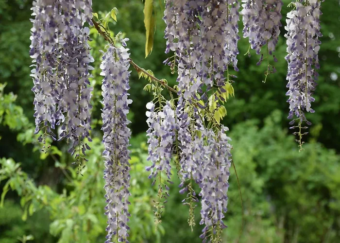Lakeside Comfort With Balcony 아파트 유틴