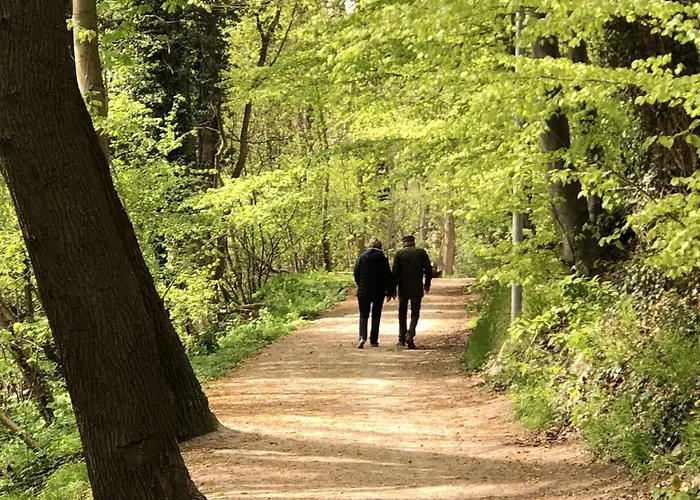Lakeside Comfort With Balcony 아파트 *