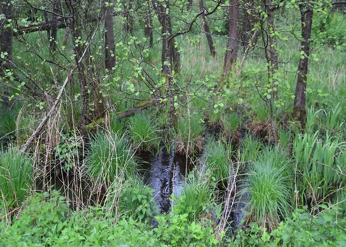 Lakeside Comfort With Balcony 아파트 *